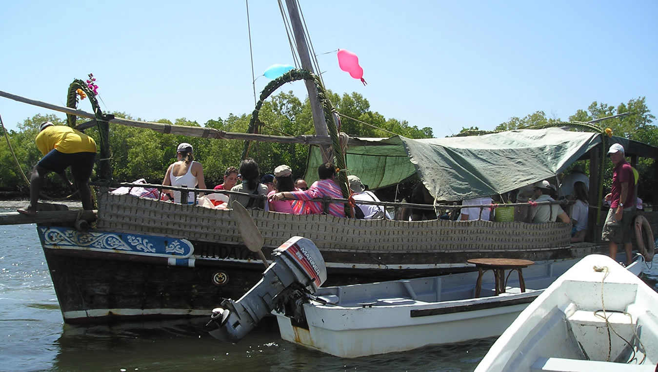 Read more about the article 1 Day Funzi Dhow Trip & Crocodile