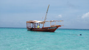 Read more about the article Full day Wasini Dolphin Trip