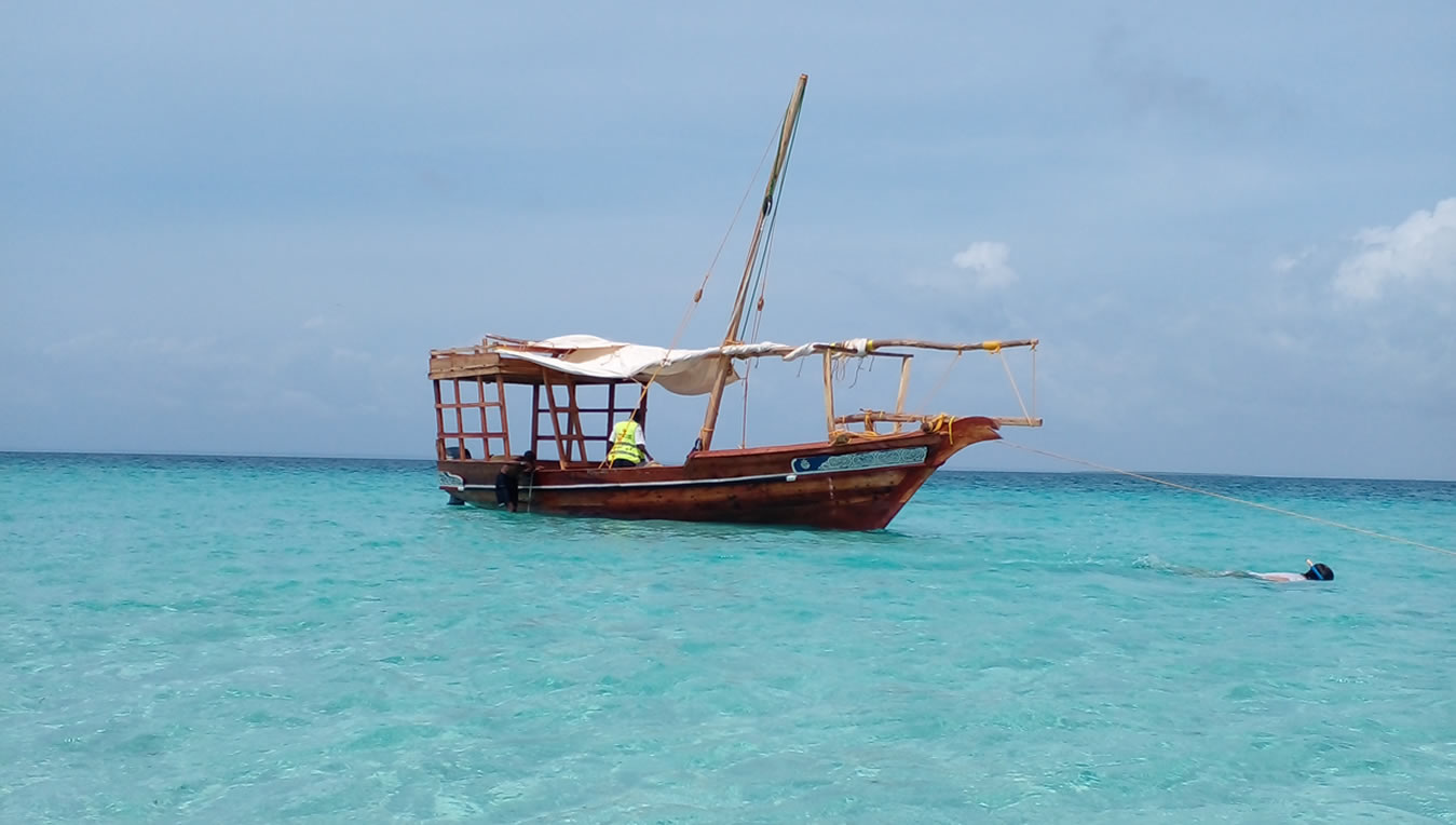 Read more about the article Full day Wasini Dolphin Trip