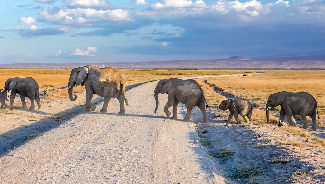 Read more about the article 3 Days Tsavo East And Amboseli
