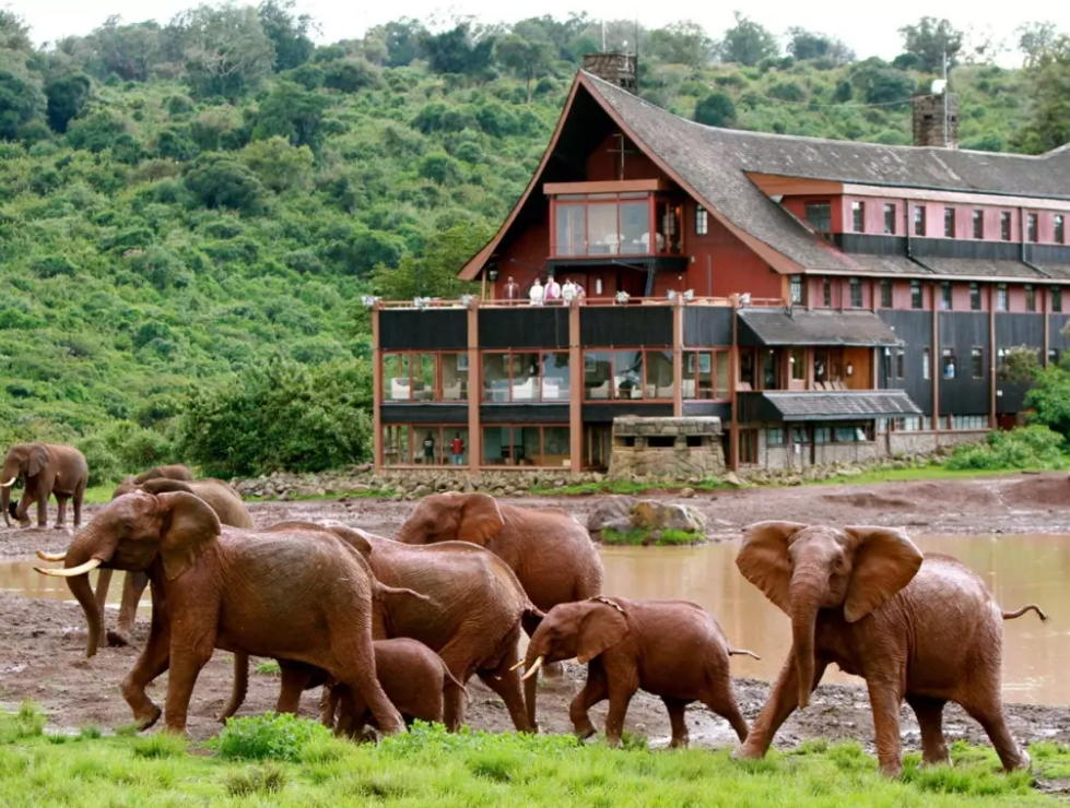 Read more about the article 13 Days Kenya Budget Holiday Safari